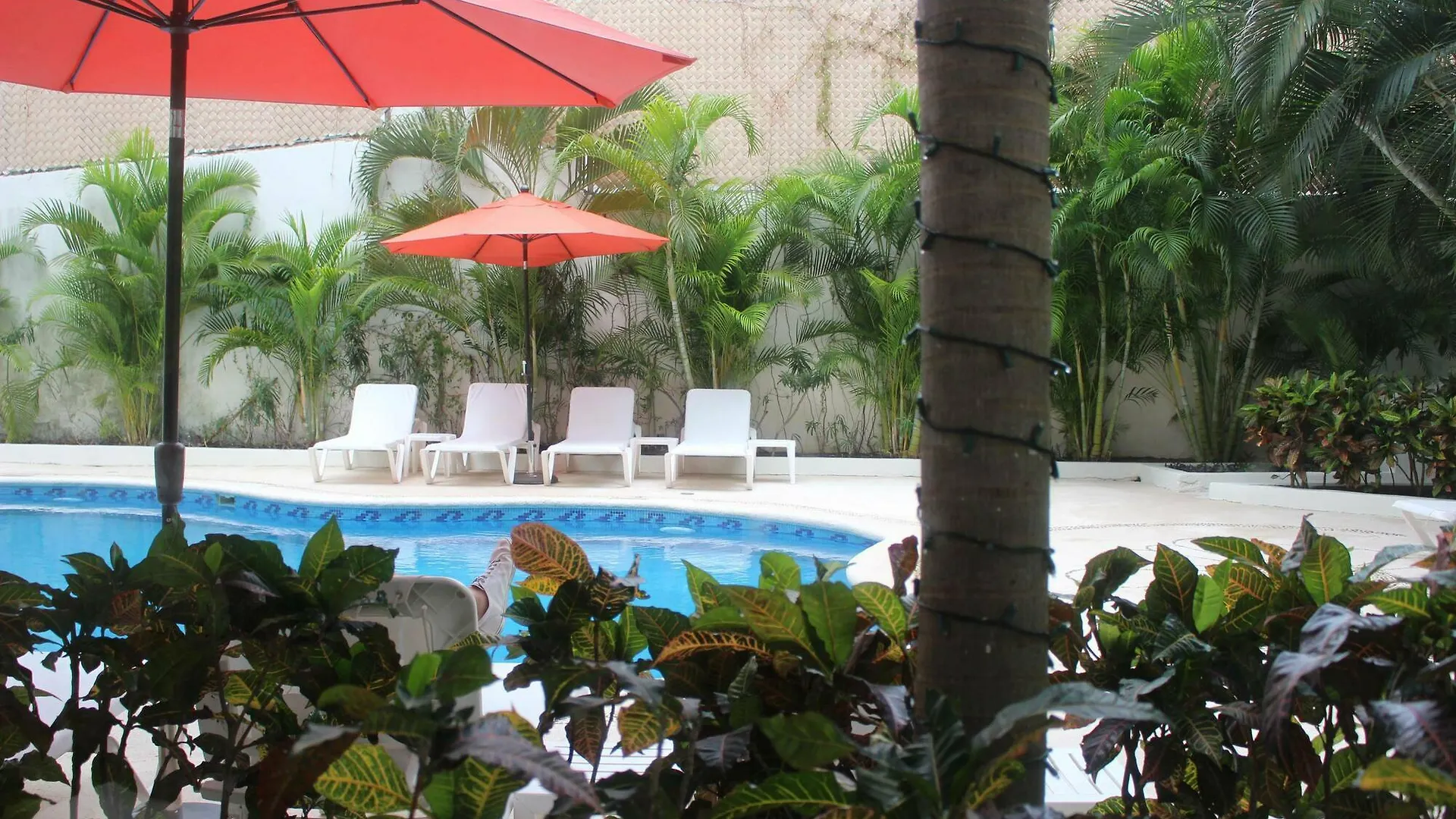 ***  Adhara Express Hotel Cancún México